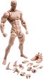 WIND TOYS Super Posable Figure Male Body White 1 12 Action Figure JAPAN OFFICIAL Sale